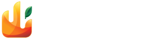The name of the store as a logo, Camino Design